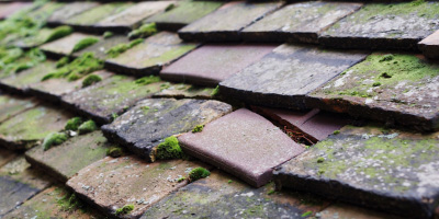 Greynor Isaf roof repair costs